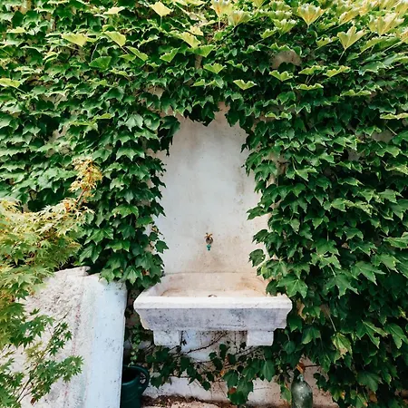 Villa Ani Apartment Coral Dubrovnik Exterior photo