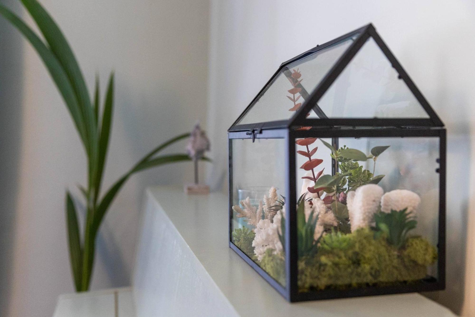 Apartment Ani Coral *